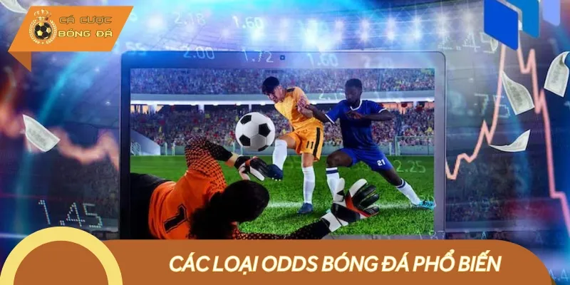 Có nhiều loại Odds bóng đá để anh em tham khảo cá cược