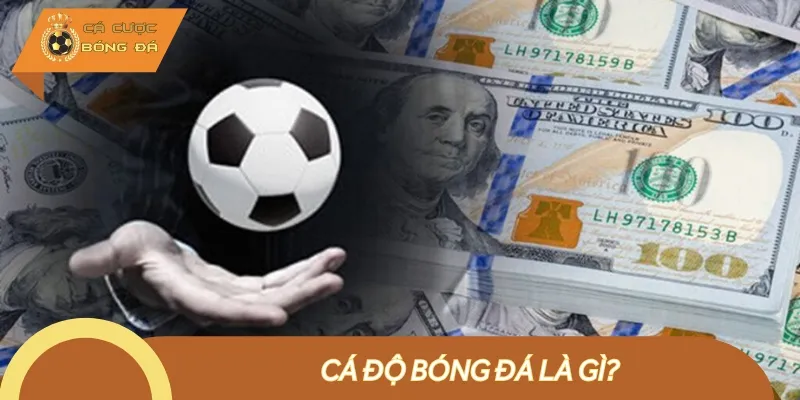 Cá độ bóng đá là loại hình đặt cược vào kết quả một trận đấu sắp diễn ra