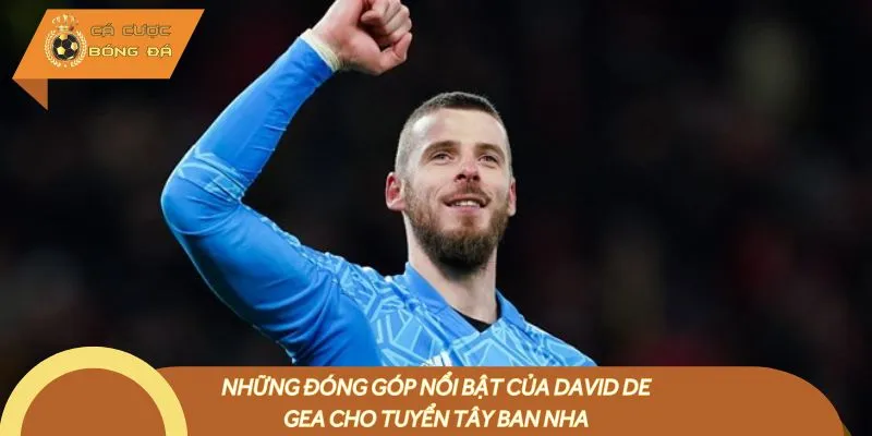 Những đóng góp nổi bật của David de Gea cho tuyển Tây Ban Nha