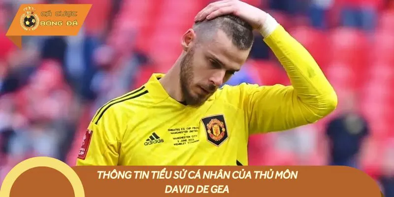 Thông tin tiểu sử cá nhân của thủ môn David de Gea