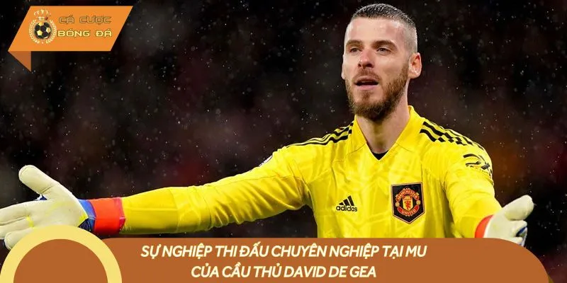 Sự nghiệp thi đấu chuyên nghiệp tại MU của cầu thủ David de Gea