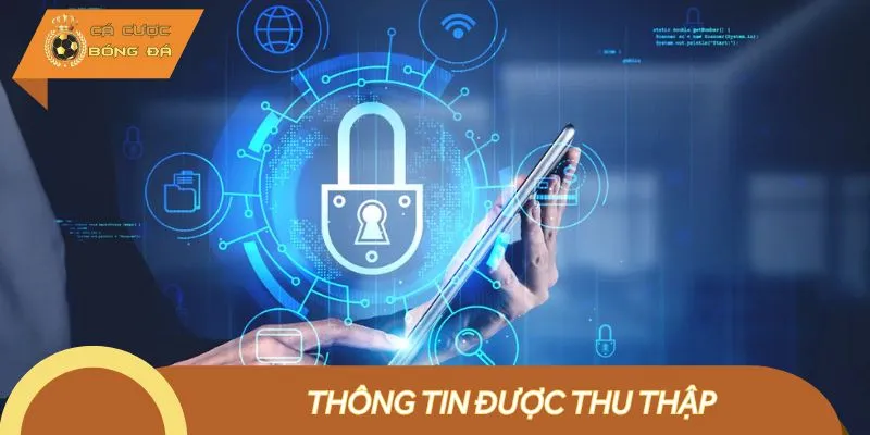 Thông tin được thu thập được nhà cái quy định rõ