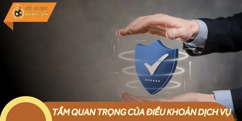 Người chơi cần nắm rõ thông tin về điều khoản dịch vụ