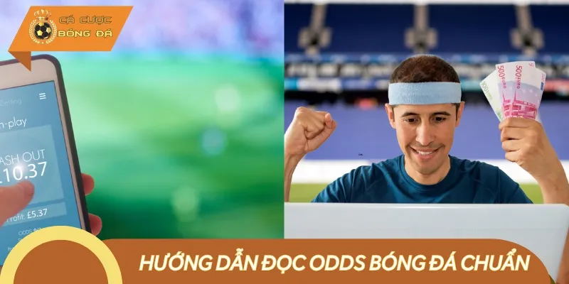 Chi tiết hướng dẫn đọc Odds bóng đá là thông tin quan trọng cần nắm