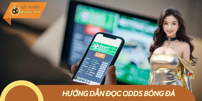 Hướng Dẫn Đọc Odds Bóng Đá Từ Cơ Bản Đến Nâng Cao