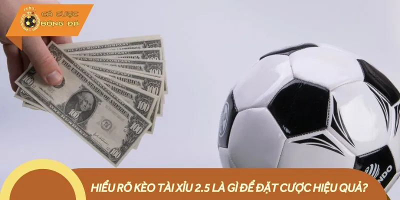 Kèo Tài Xỉu 2.5 xuất hiện phổ biến trong các giải đấu lớn