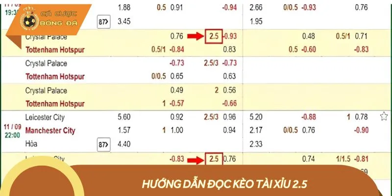 Hiểu cách thức đọc kèo Tài Xỉu 2.5 để vào tiền hợp lý