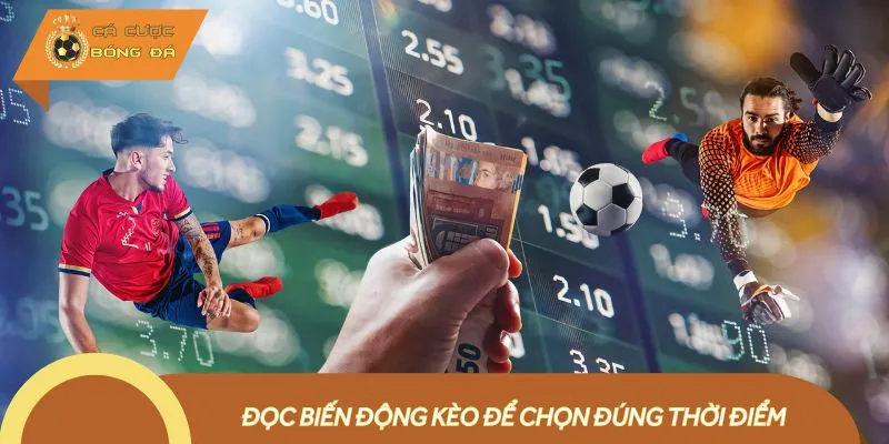 Theo dõi biến động trên bảng kèo Tài Xỉu 2.5 để chọn cửa chính xác