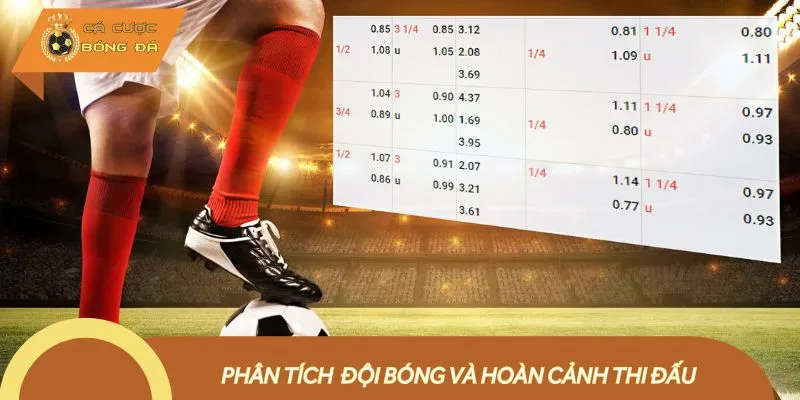 Nắm bắt tất cả thông tin về trận đấu để bắt kèo thơm chính xác