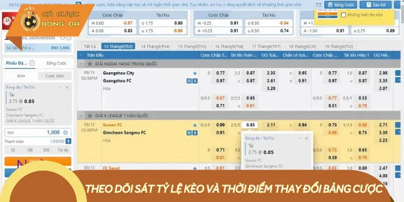 Theo dõi bảng cược để nhận biết kèo thơm thành công