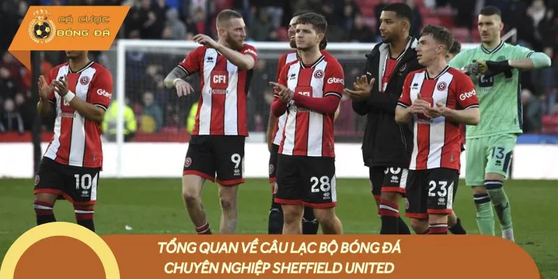 Tổng quan về câu lạc bộ bóng đá chuyên nghiệp Sheffield United