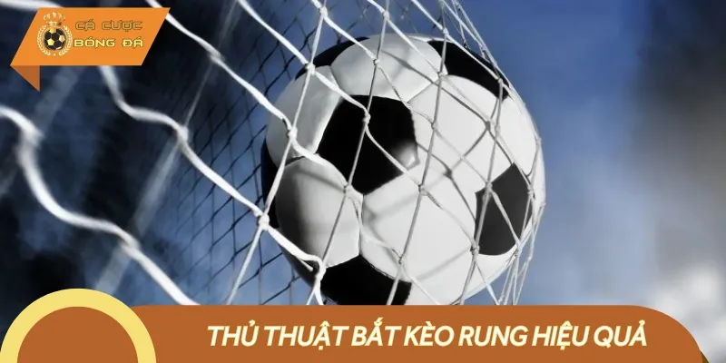 Thủ thuật bắt kèo rung đem về chiến thắng lớn cho bạn