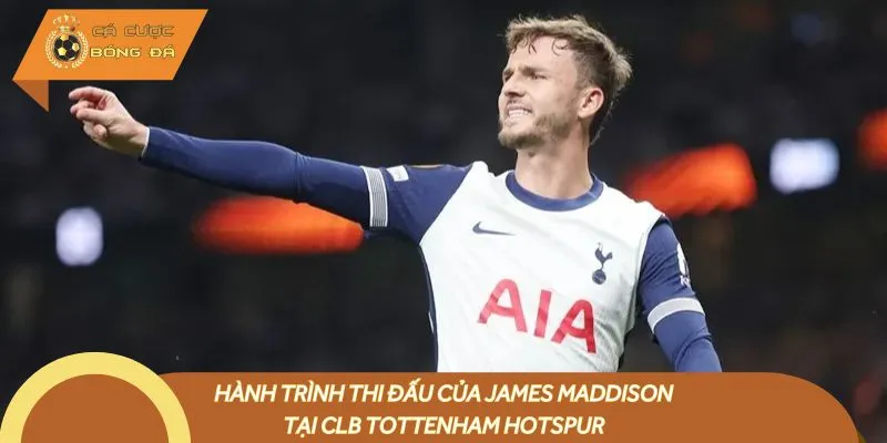 Hành trình thi đấu của James Maddison tại CLB Tottenham Hotspur