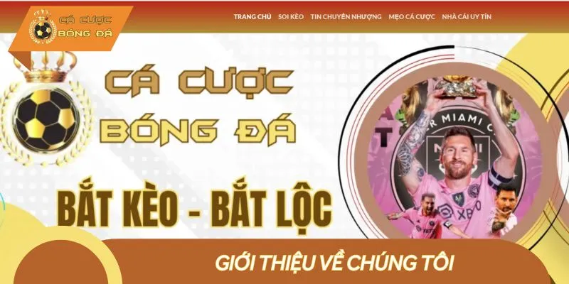 Giới thiệu tổng quan về chúng tôi