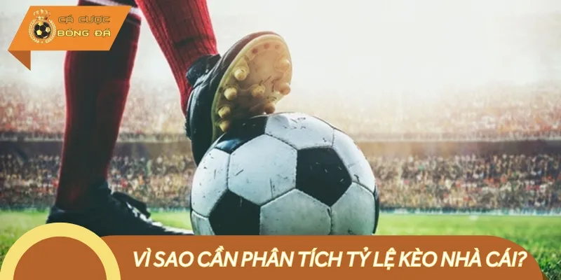 Có một số lý do mà người chơi nên phân tích tỷ lệ kèo của nhà cái